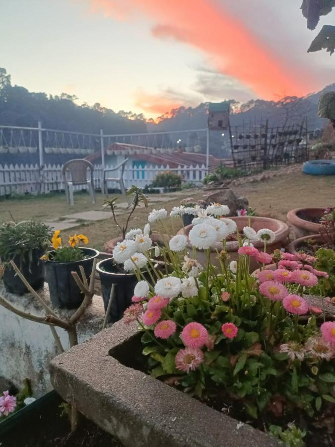 Mohraj Home Stay Bhowali ภายนอก รูปภาพ
