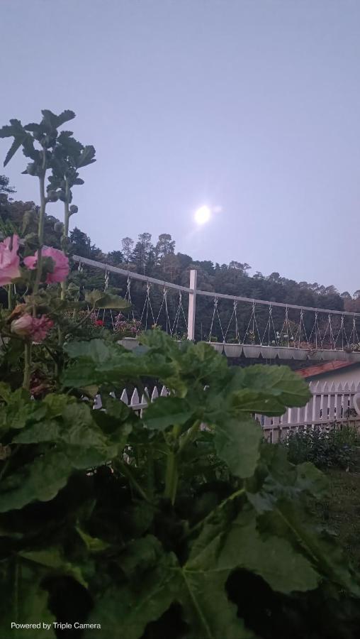 Mohraj Home Stay Bhowali ภายนอก รูปภาพ