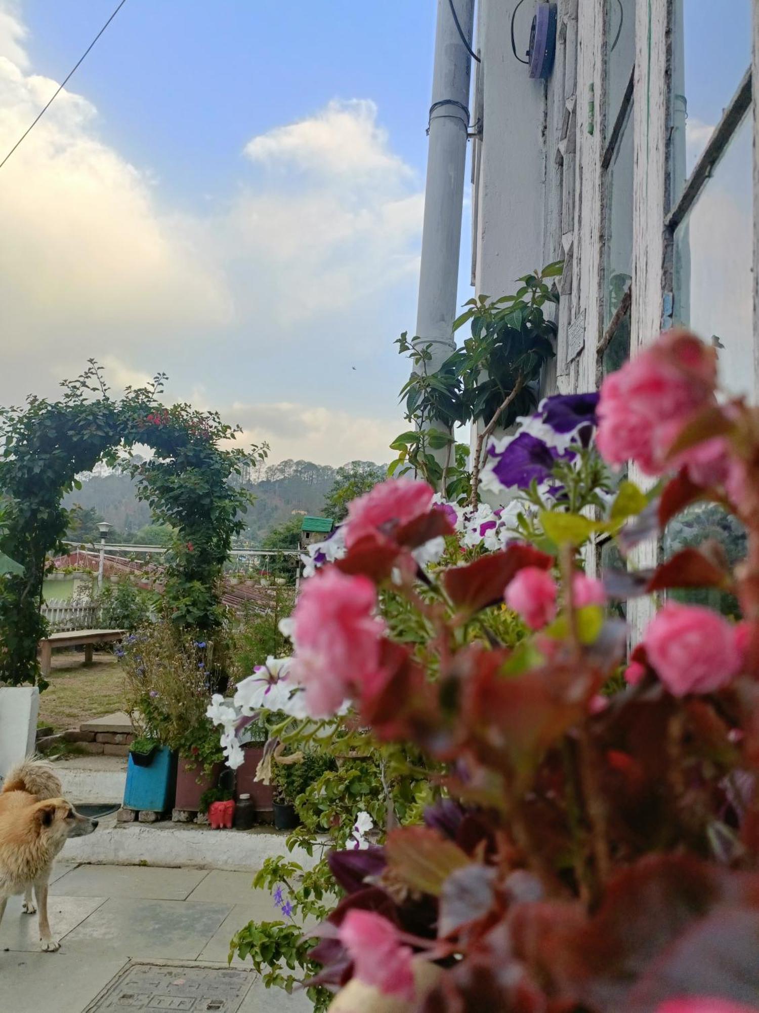 Mohraj Home Stay Bhowali ภายนอก รูปภาพ
